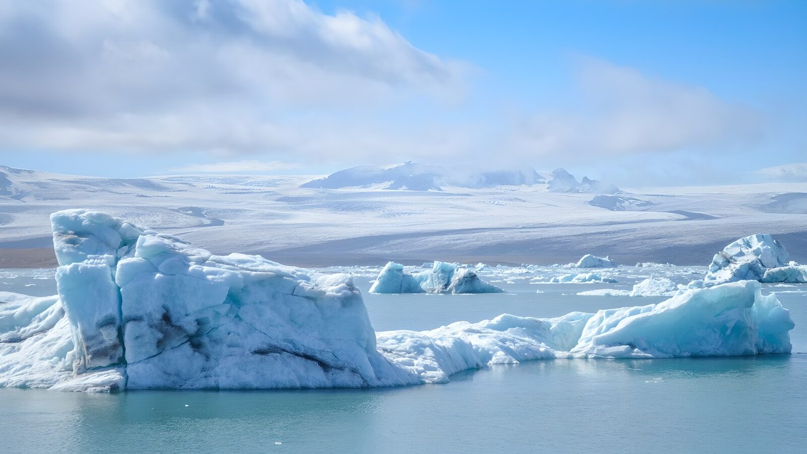 OCCOM9352699: Icebergs in a Glacial Lagoon