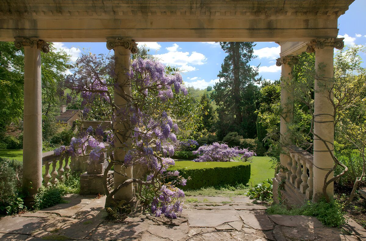 OCCOM9556619: Serene Garden View with Wisteria Blossoms