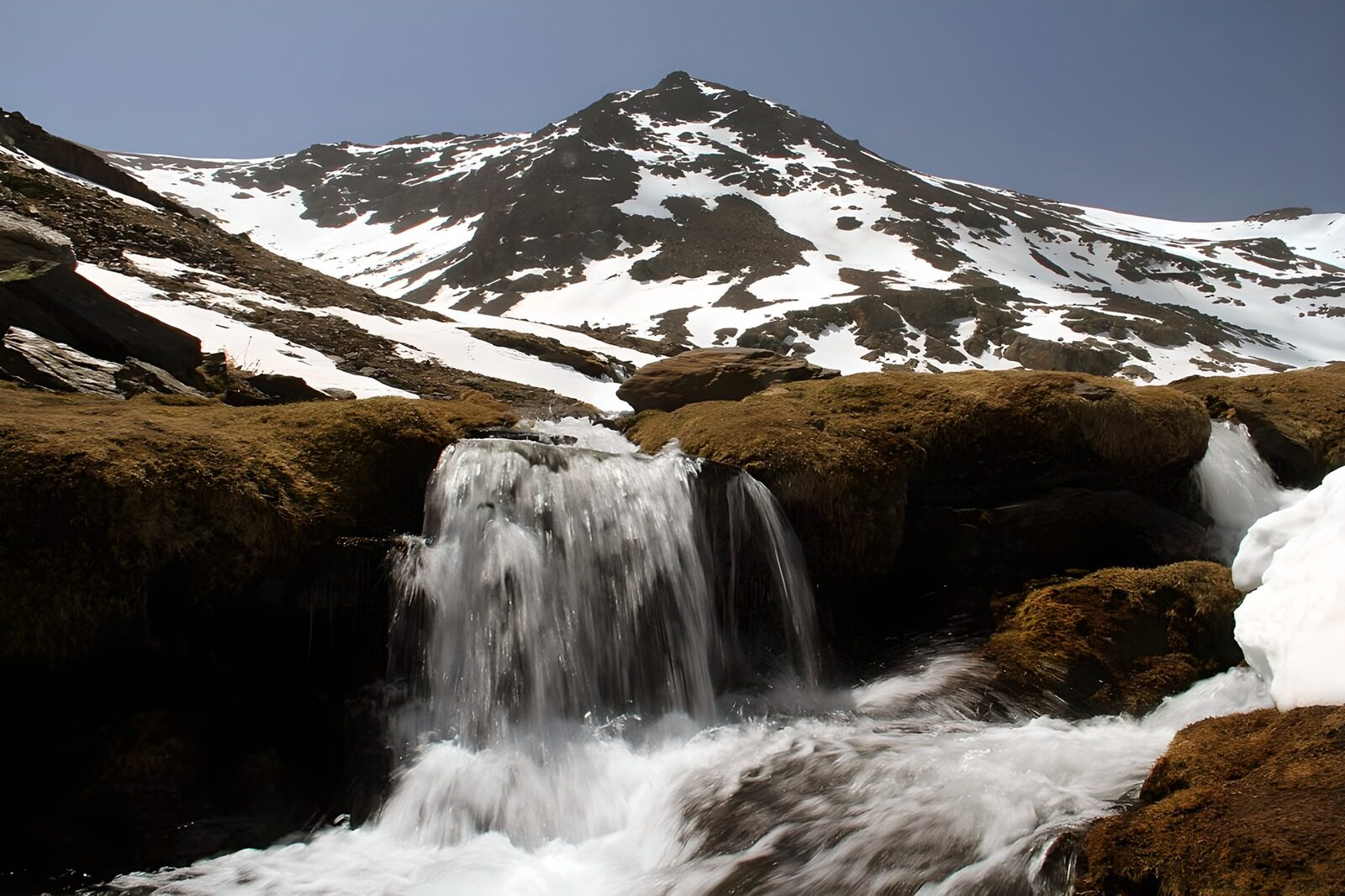 OCCOM8885218: Serene Mountain Stream