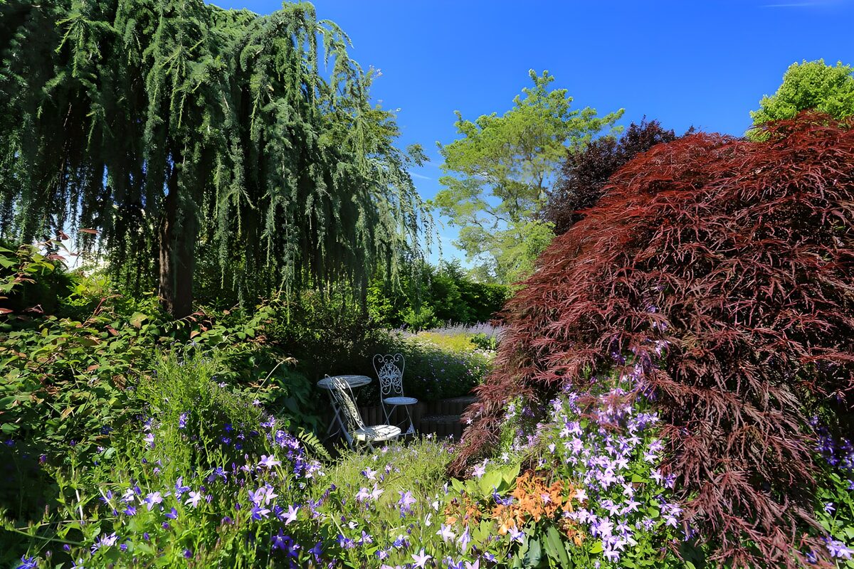 Serene Garden Retreat in Full Bloom
