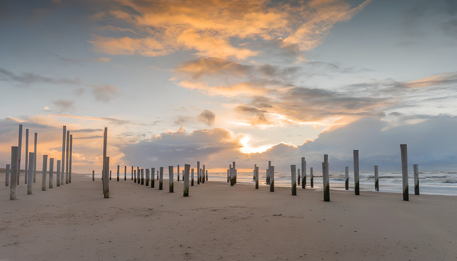 OCCOM3397935: "Sunset Reflections on the Beach"
