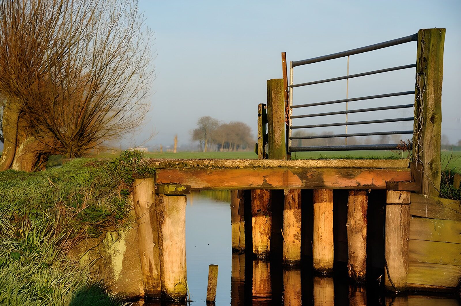 OCCOM2475133: Rustic Bridge at Dawn