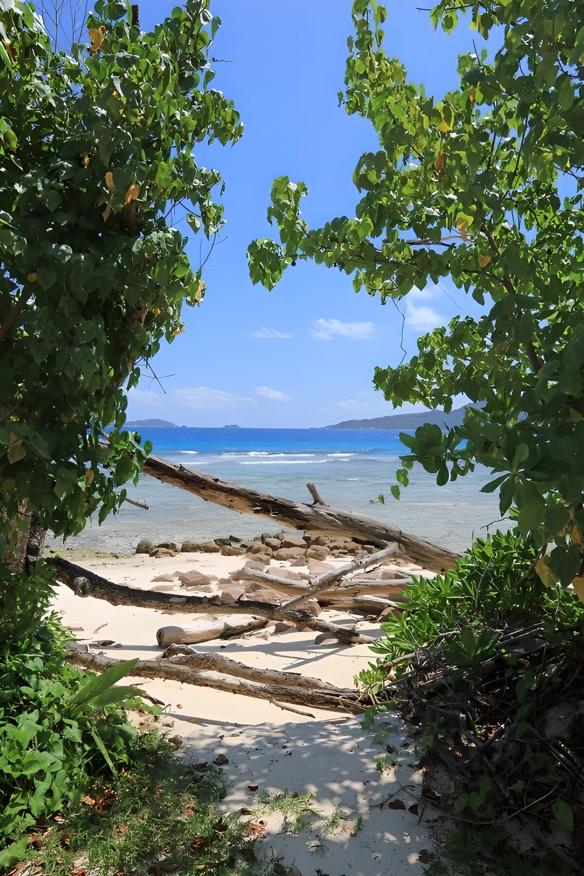 OCCOM3501563: Serene Beach Escape