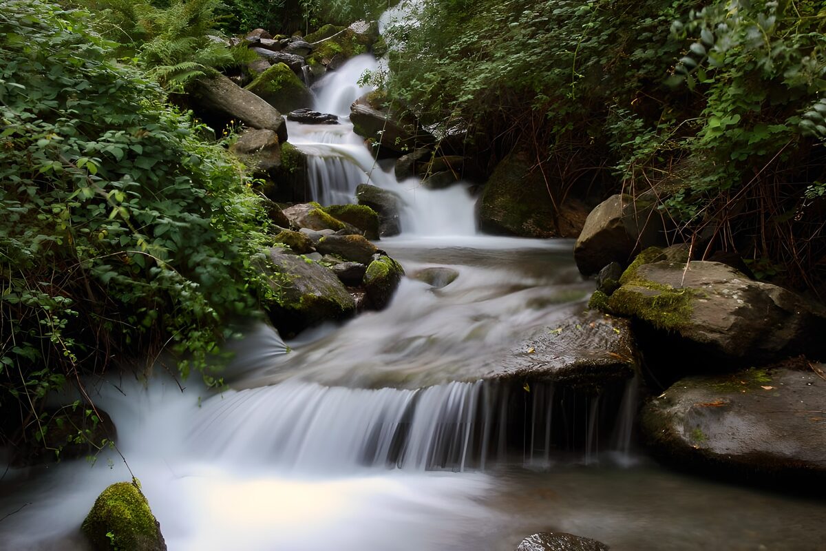 OCCOM2757170: Serene Flow of Nature's Stream
