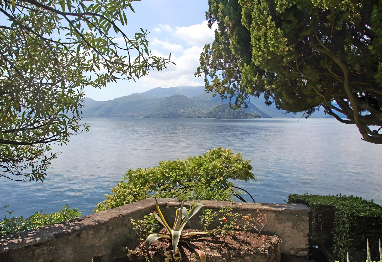 OCCOM1398712: Serene Lake View Framed by Lush Greenery