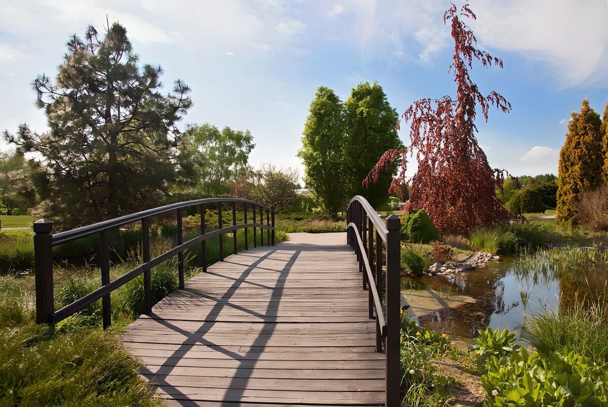 Tranquil Garden Bridge
