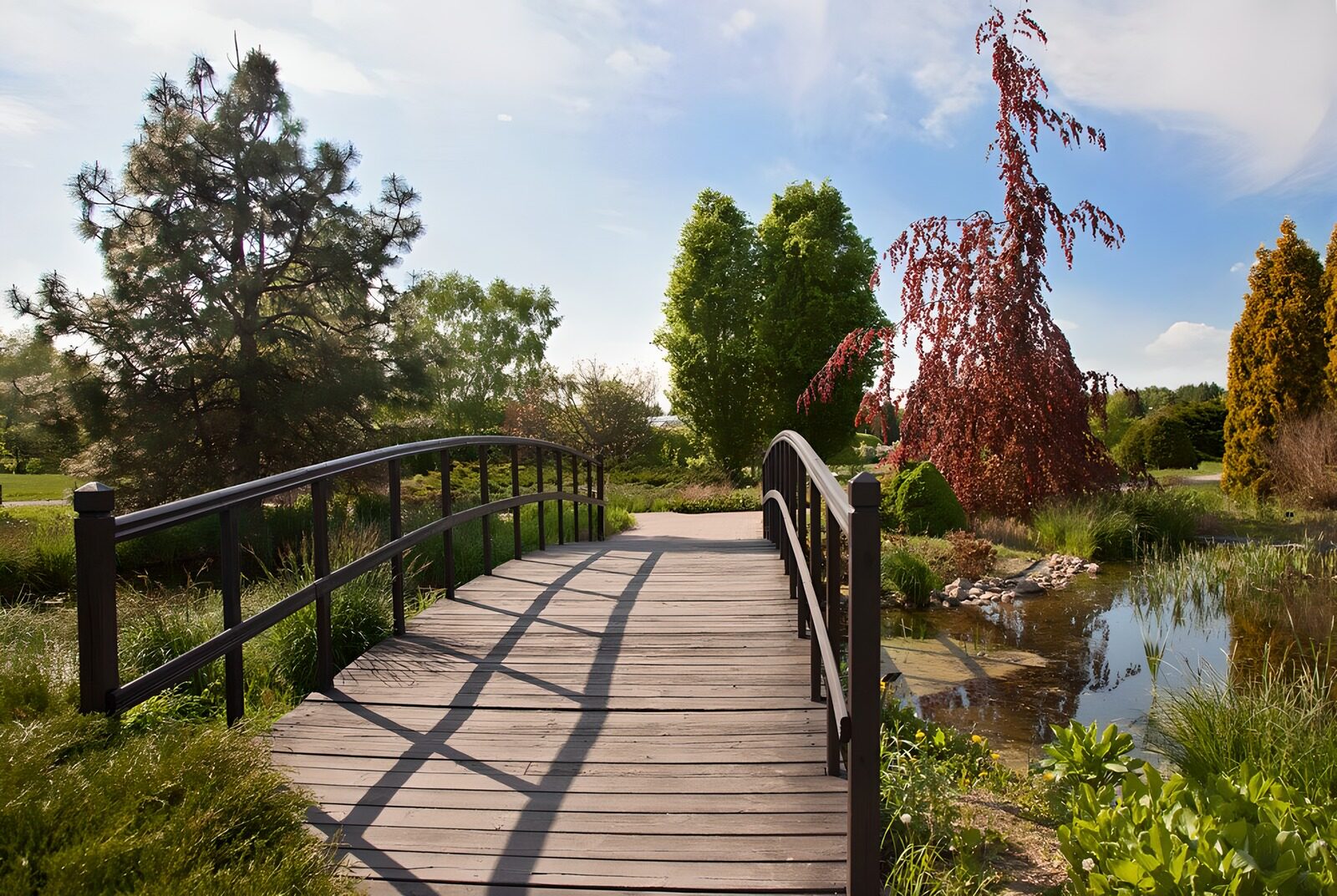 OCCOM9505115: Tranquil Garden Bridge