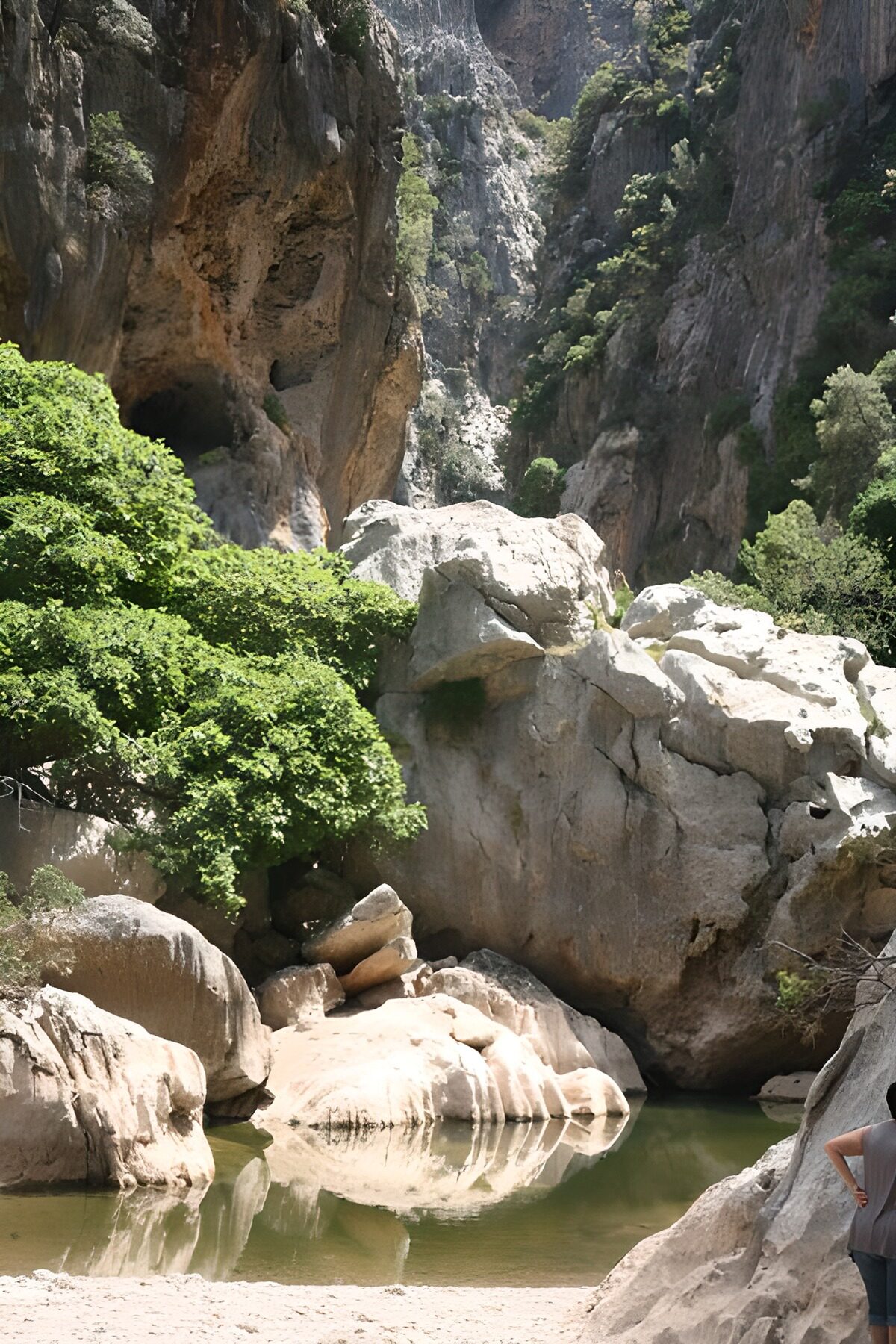 Serenity in Nature's Embrace