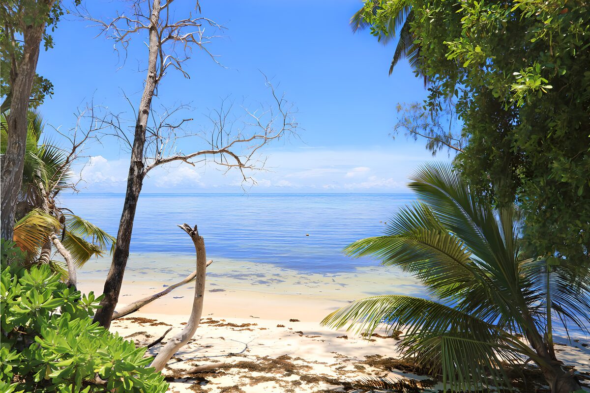 OCCOM2572708: Serene Coastal Paradise