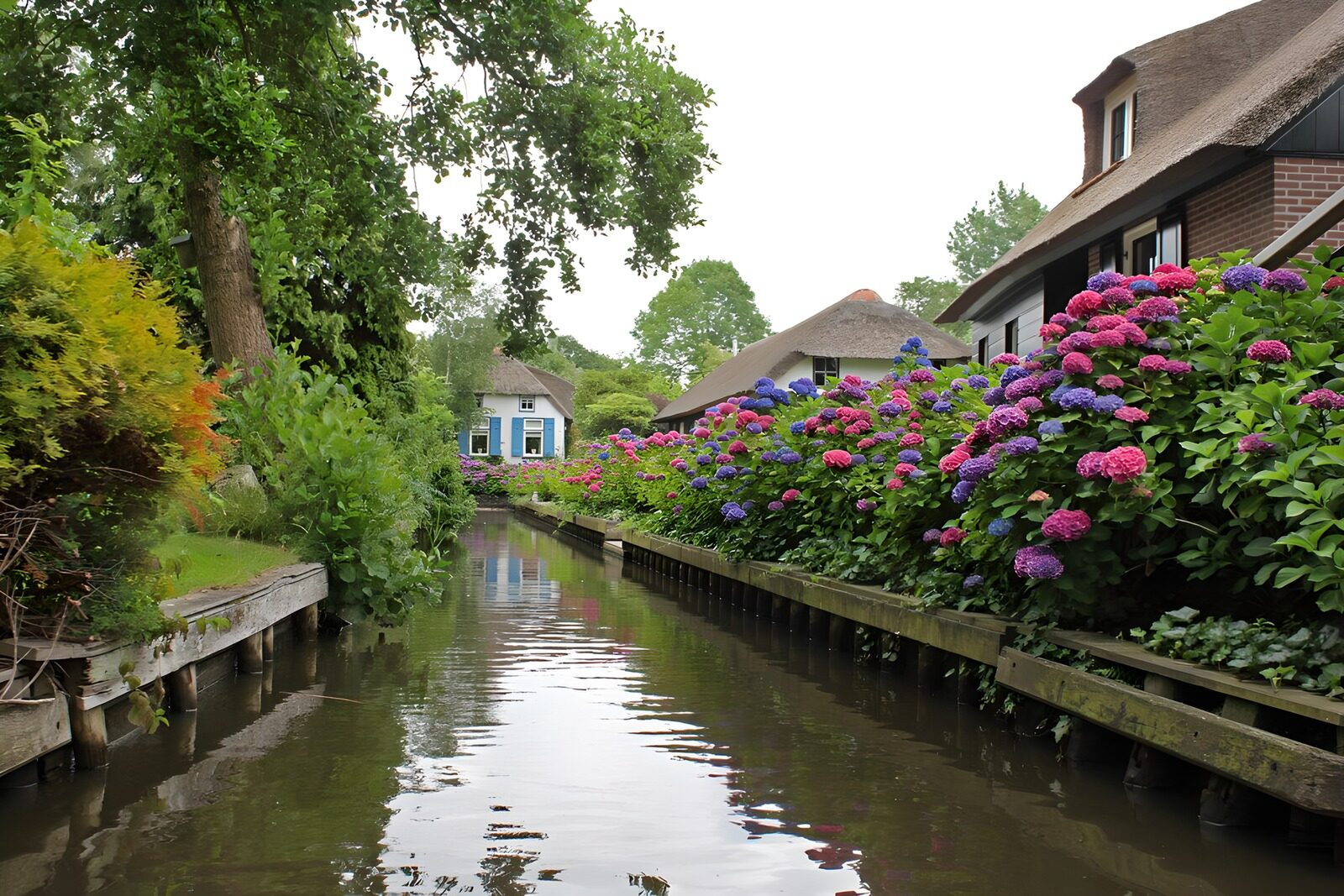 OCCOM1030257: Tranquil Waterside in Blooming Serenity