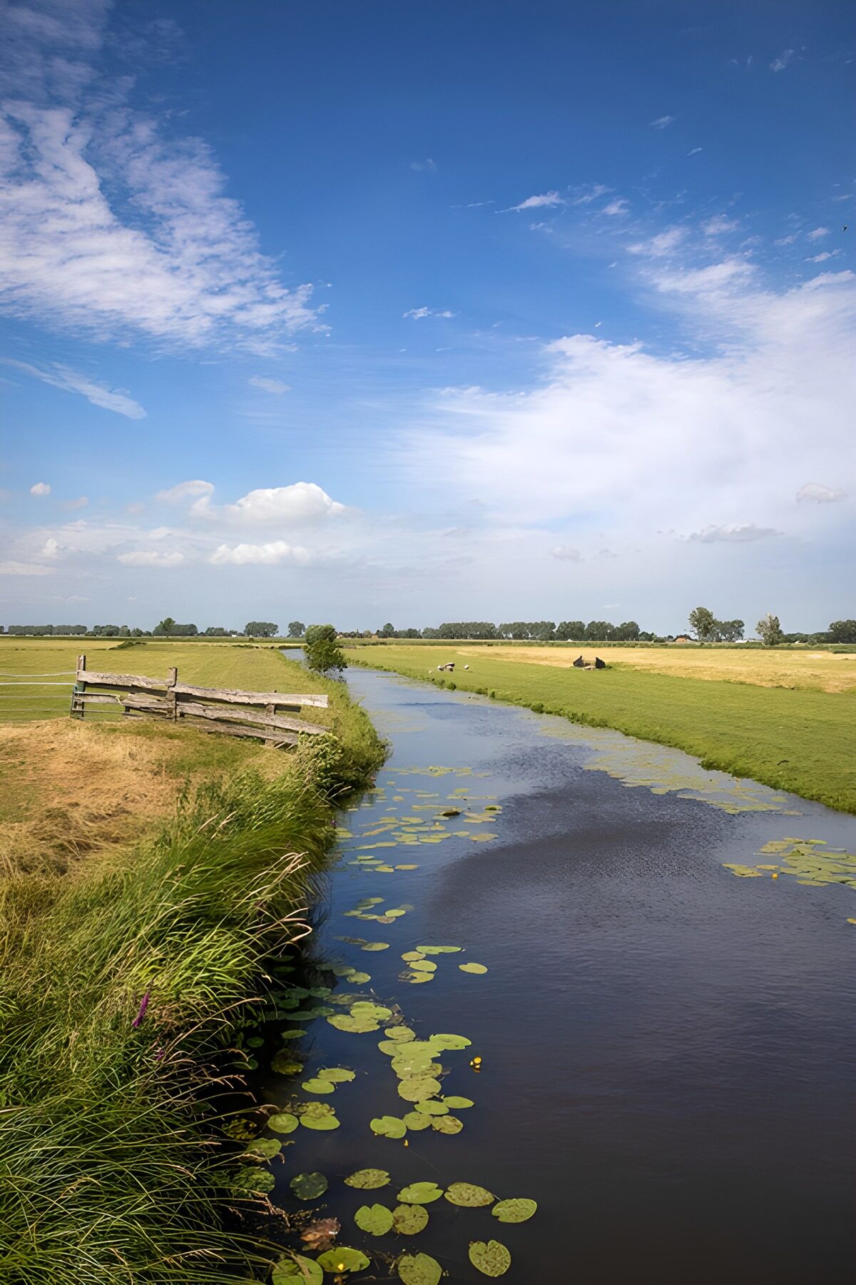 Tranquil Waters Under Blue Skies