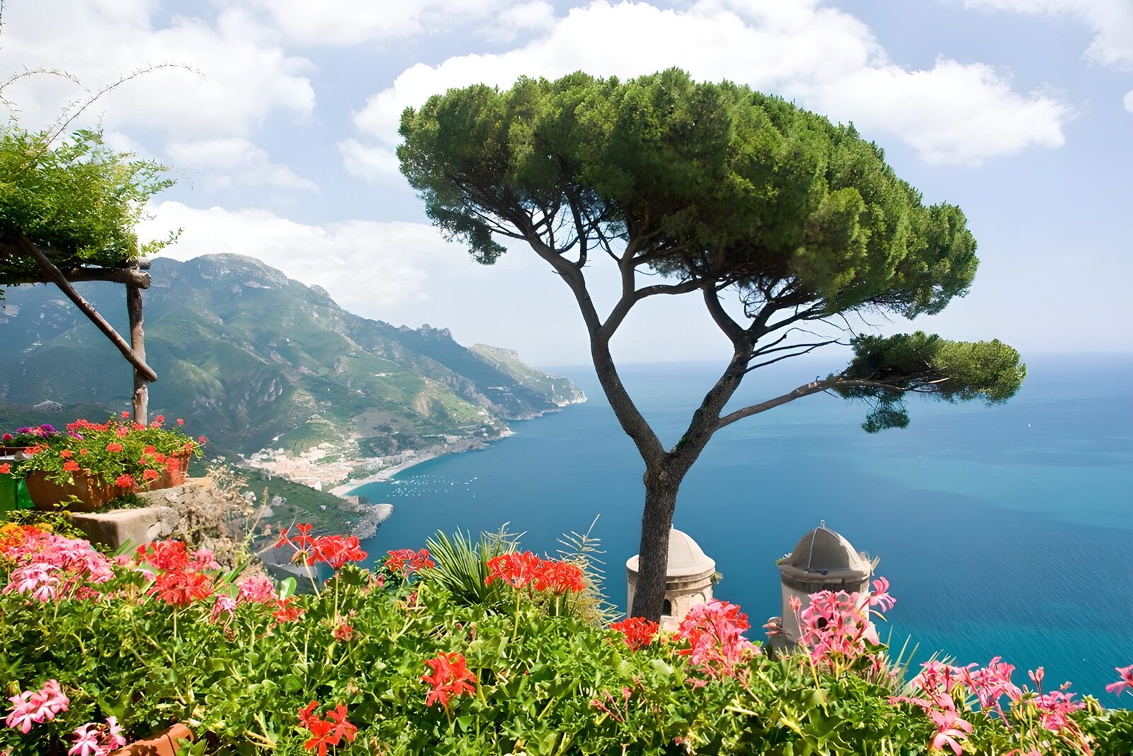 OCCOM1021580: Serene Coastal View with Blossoming Flowers