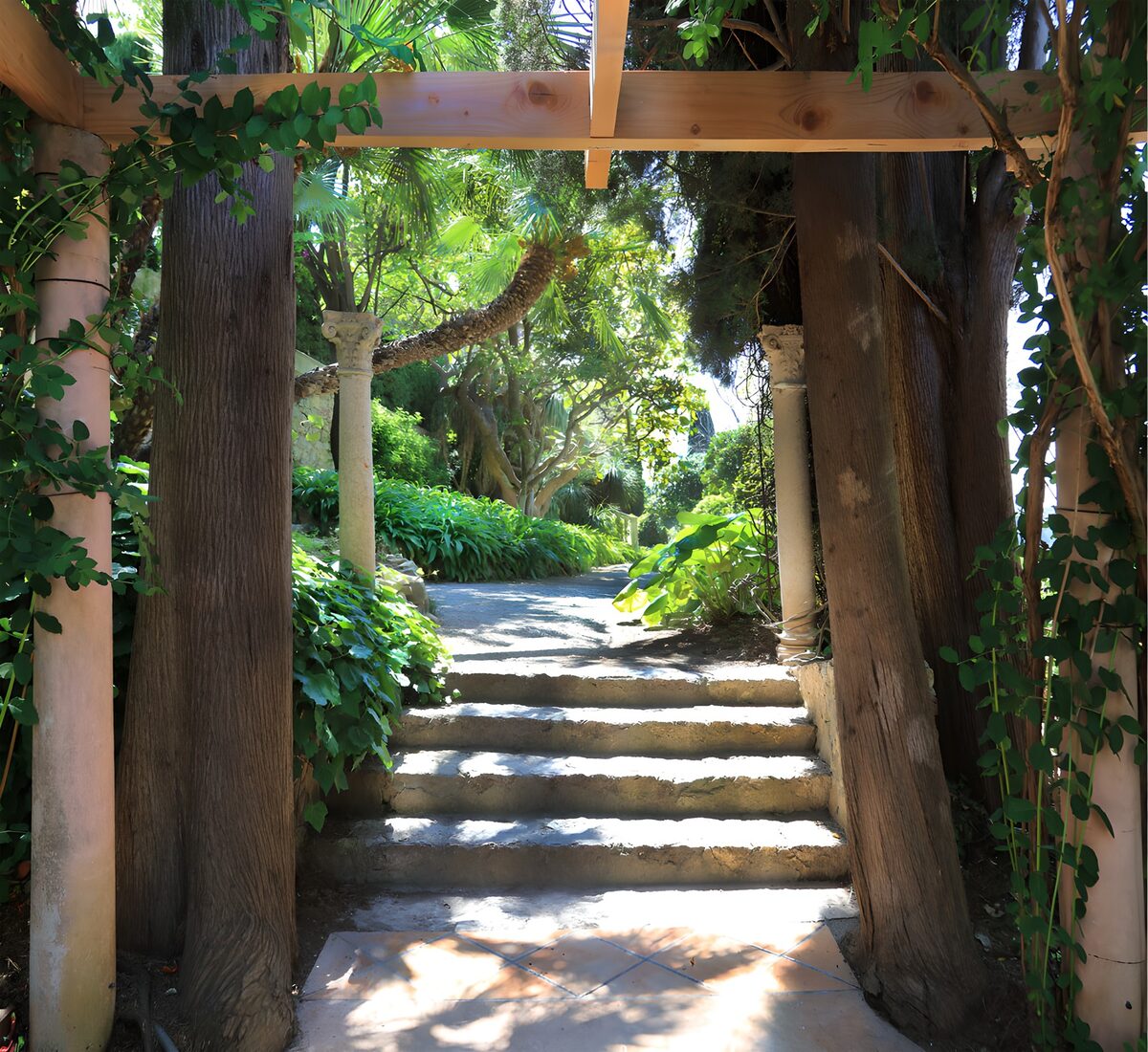 OCCOM4677891: Serene Garden Pathway