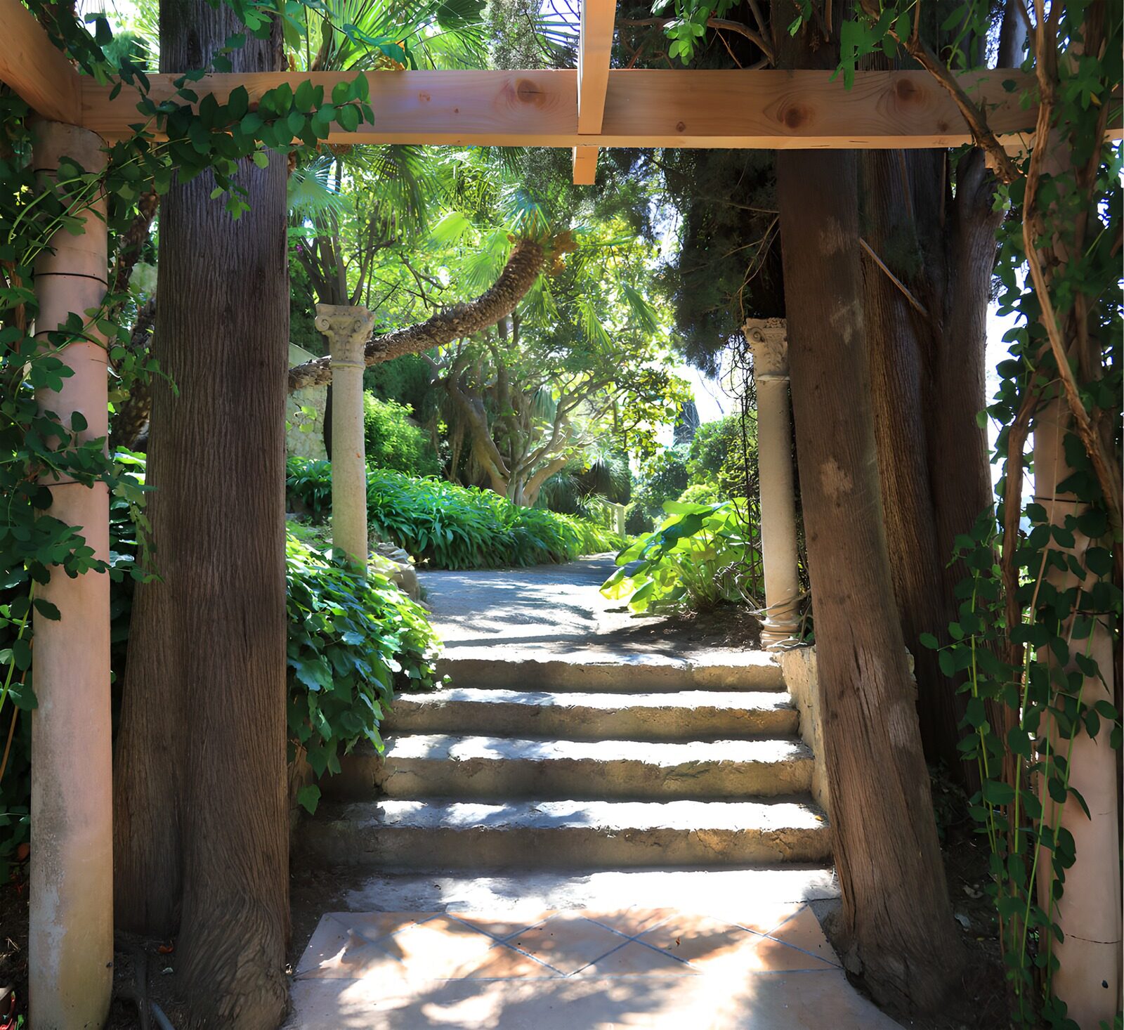 OCCOM4677891: Serene Garden Pathway
