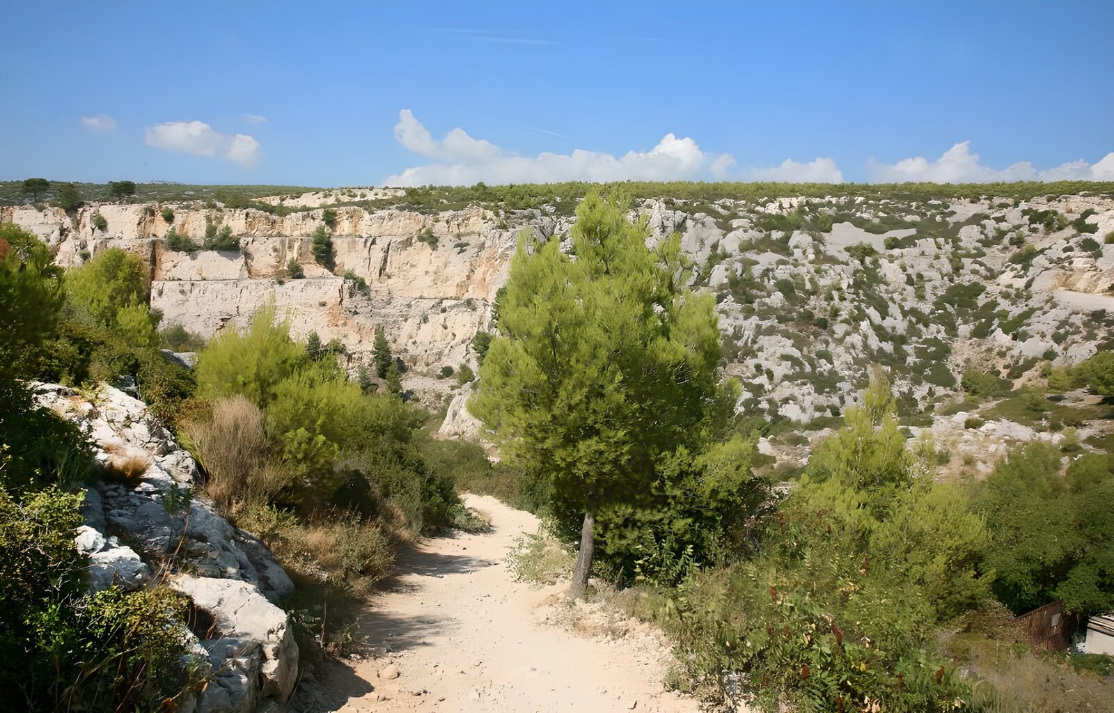 OCCOM9758486: Serene Pathway Through Scenic Cliffs