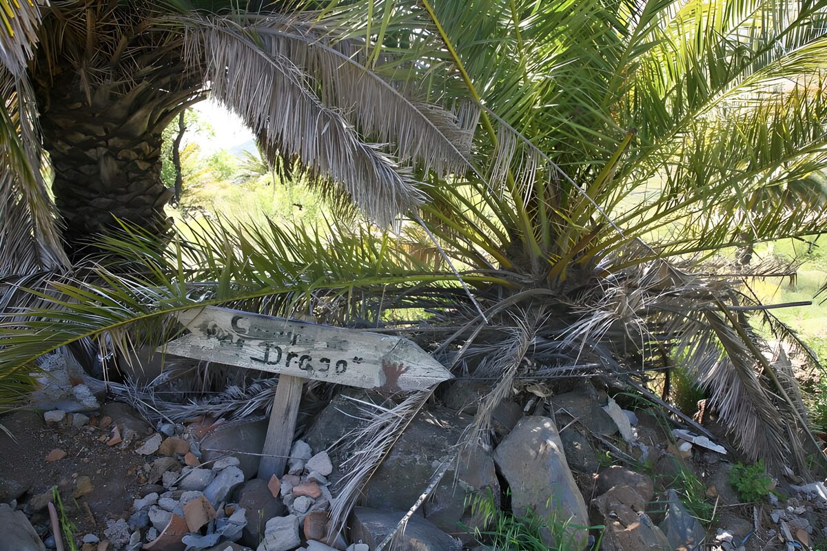 Direction to Drago
