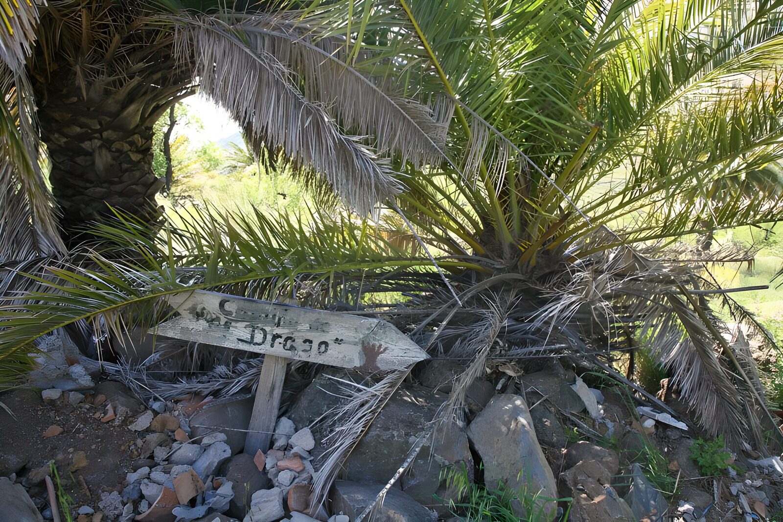 OCCOM3974324: Direction to Drago