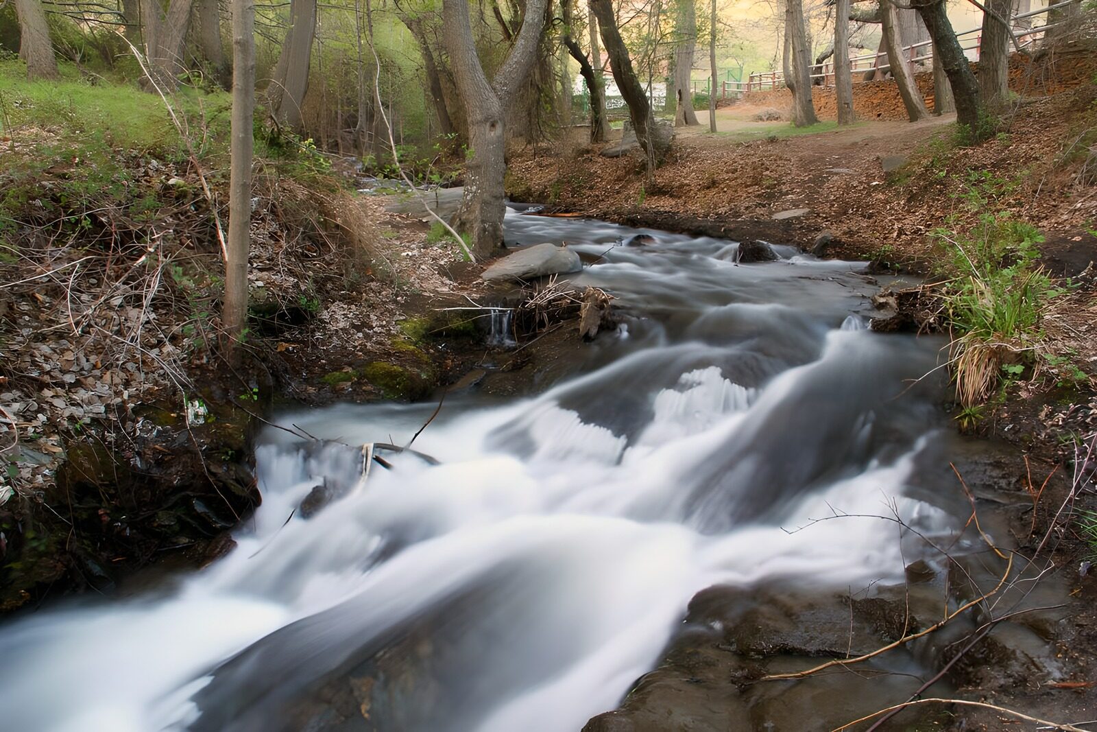 OCCOM7214583: Serene Stream Flowing Through the Forest
