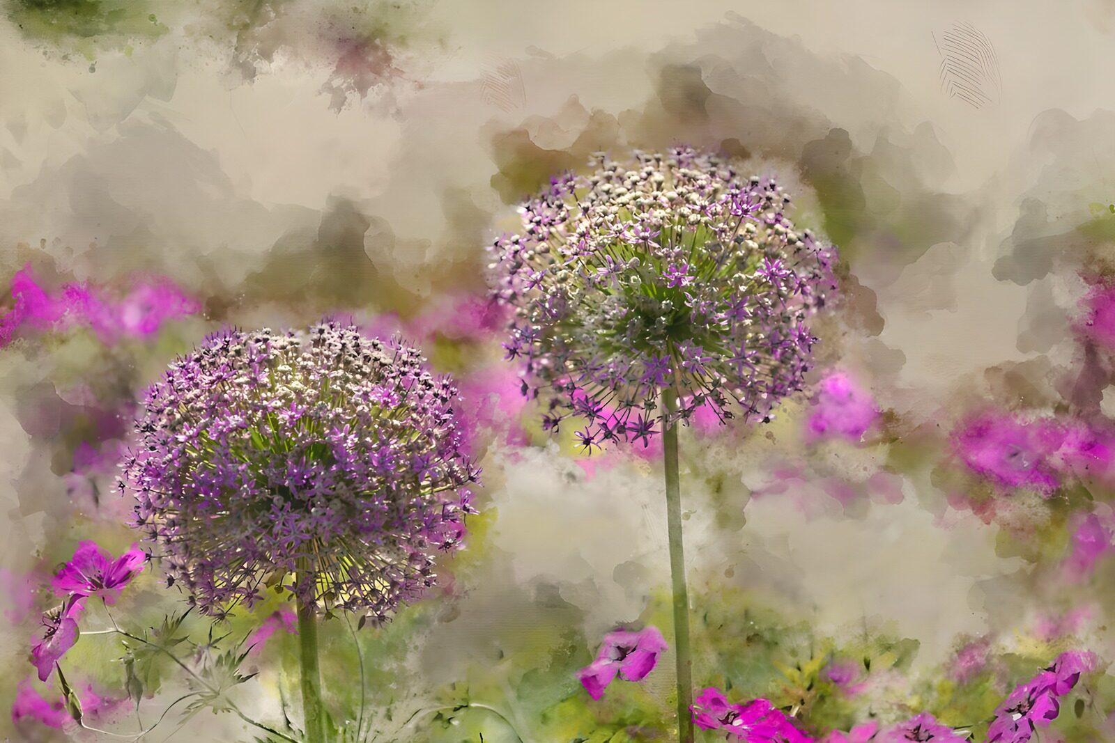 OCCOM4842766: Blossoms of Serenity