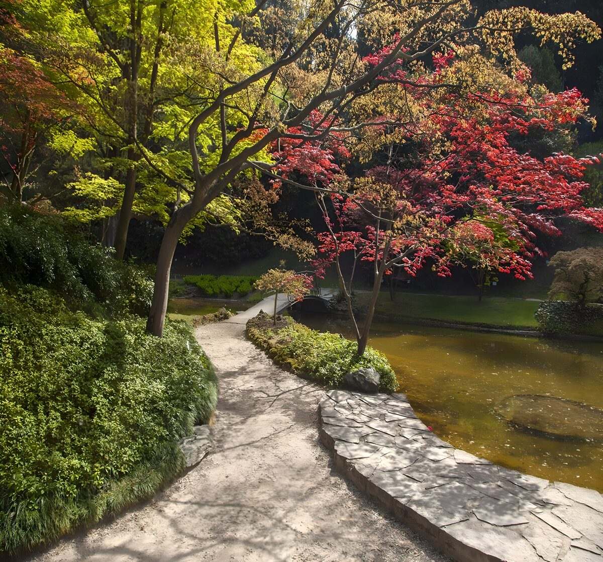 OCCOM4278566: Tranquil Pathway Through a Colorful Garden