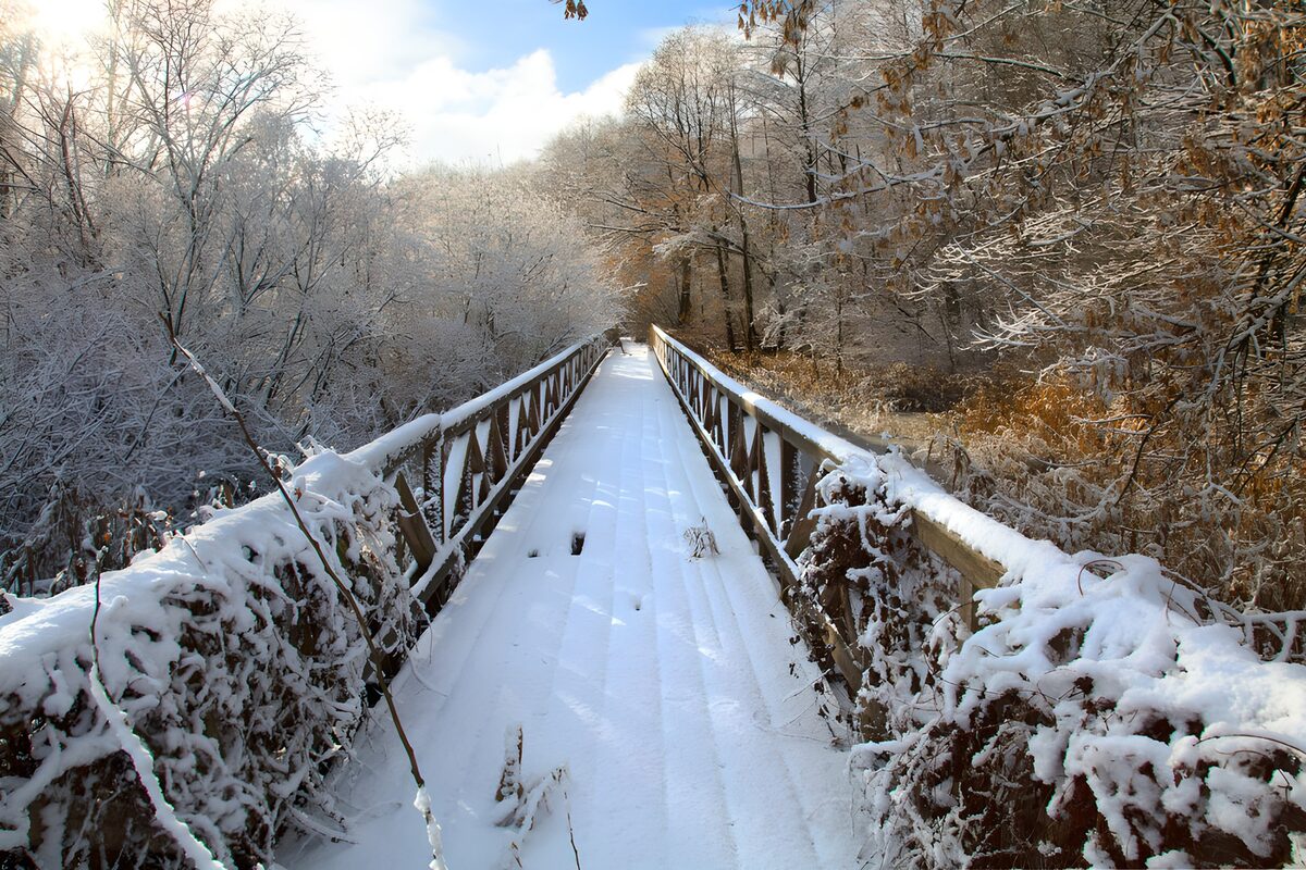 Snowy Pathway Through Winter Woods