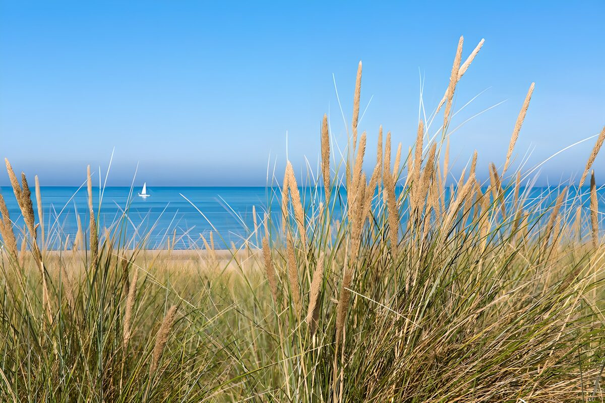 Serene Shoreline with Gentle Breeze