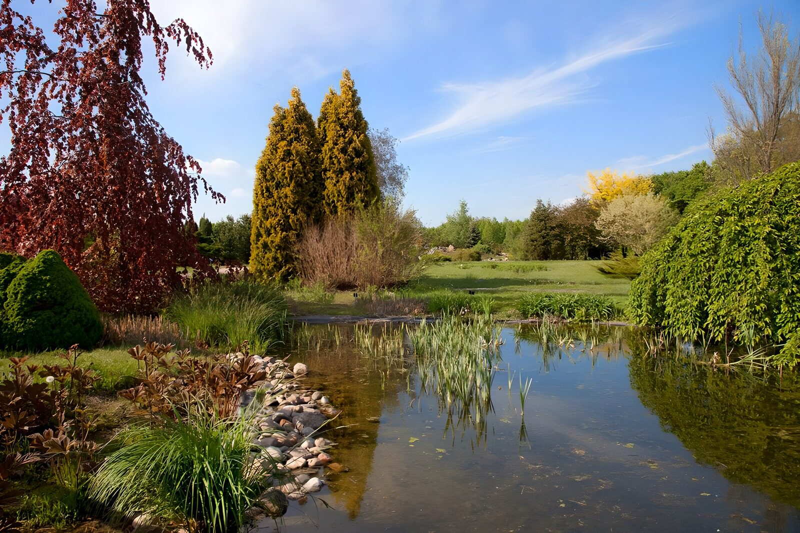 OCCOM4959938: Serene Garden Reflection