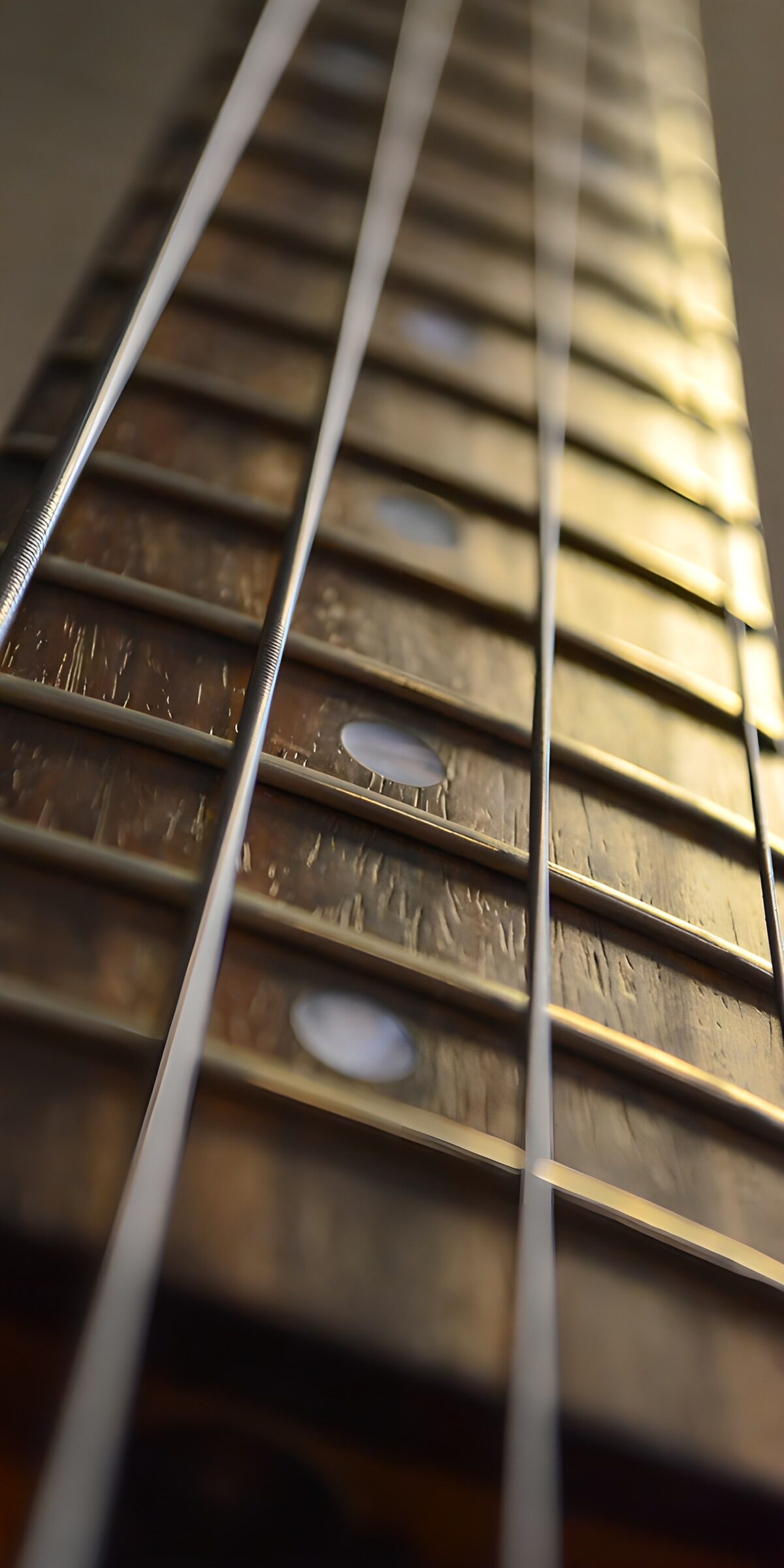 OCCOM8582857: Strings and Fretboard Close-Up