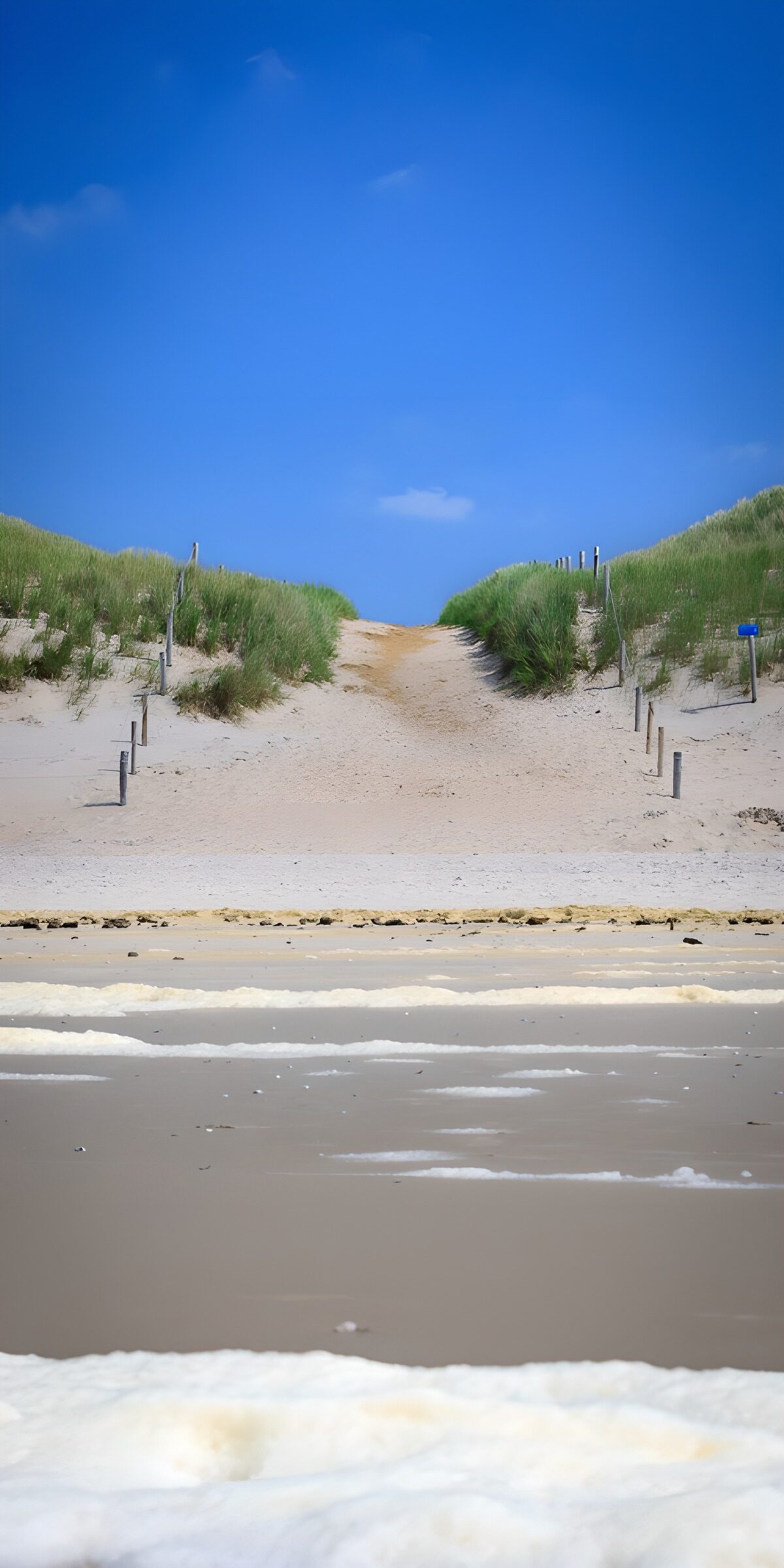 OCCOM4904762: Pathway to the Beach