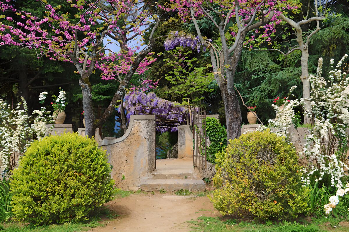 OCCOM1160470: Enchanted Garden Gateway