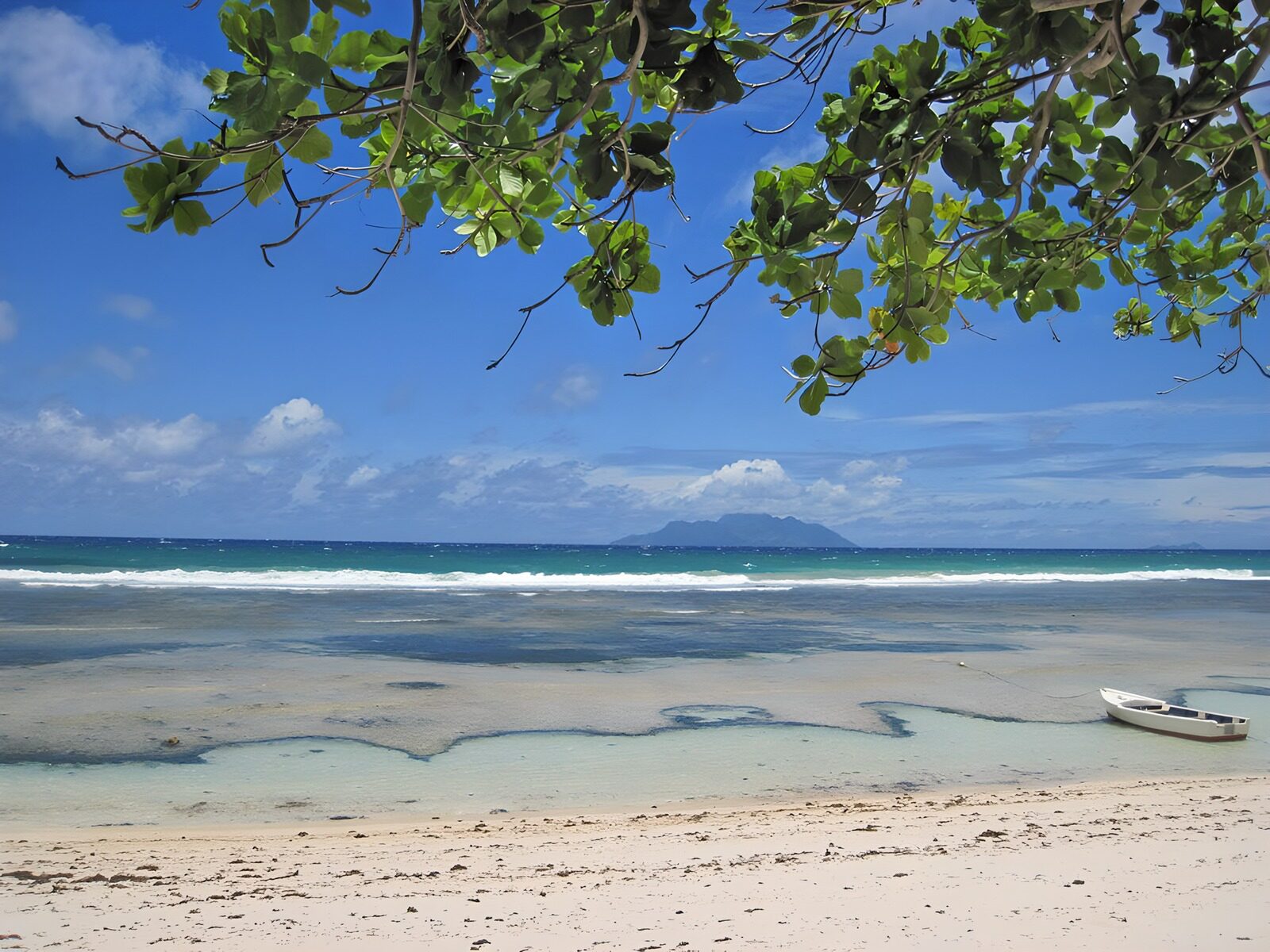 OCCOM2355122: Serene Beach Daydreams