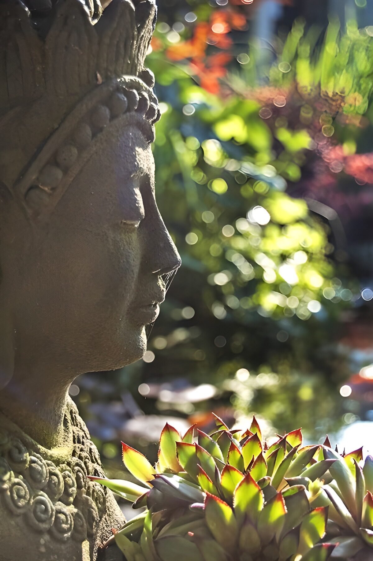 OCCOM6556276: Serene Buddha in a Garden Setting