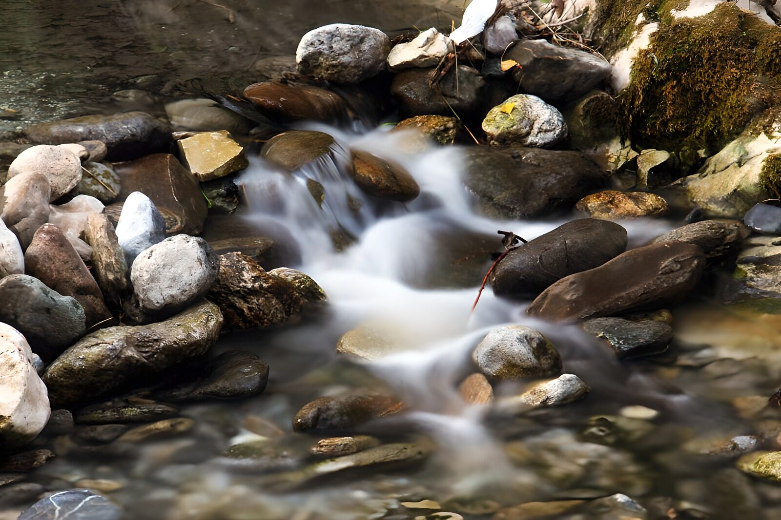 OCCOM3259561: Serene Stream Flowing Over River Rocks