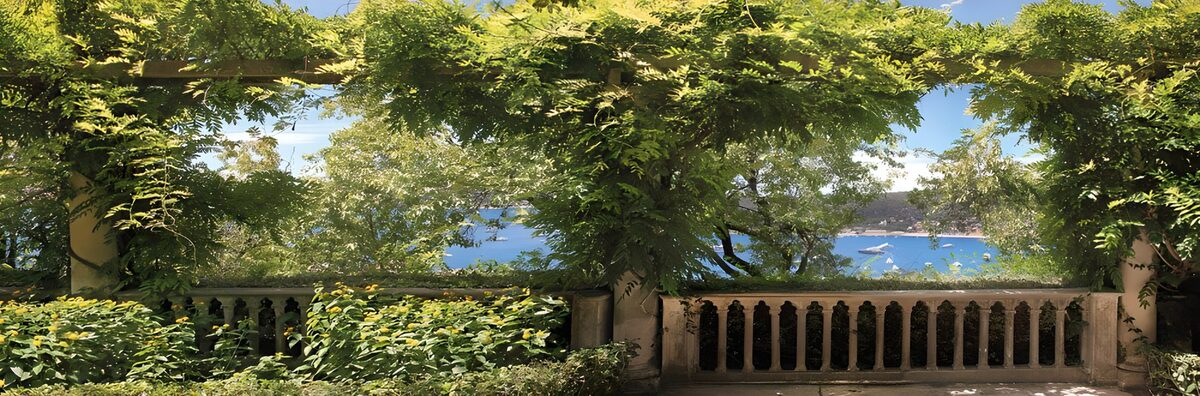 OCCOM7887143: Serene Coastal View Through Lush Vines