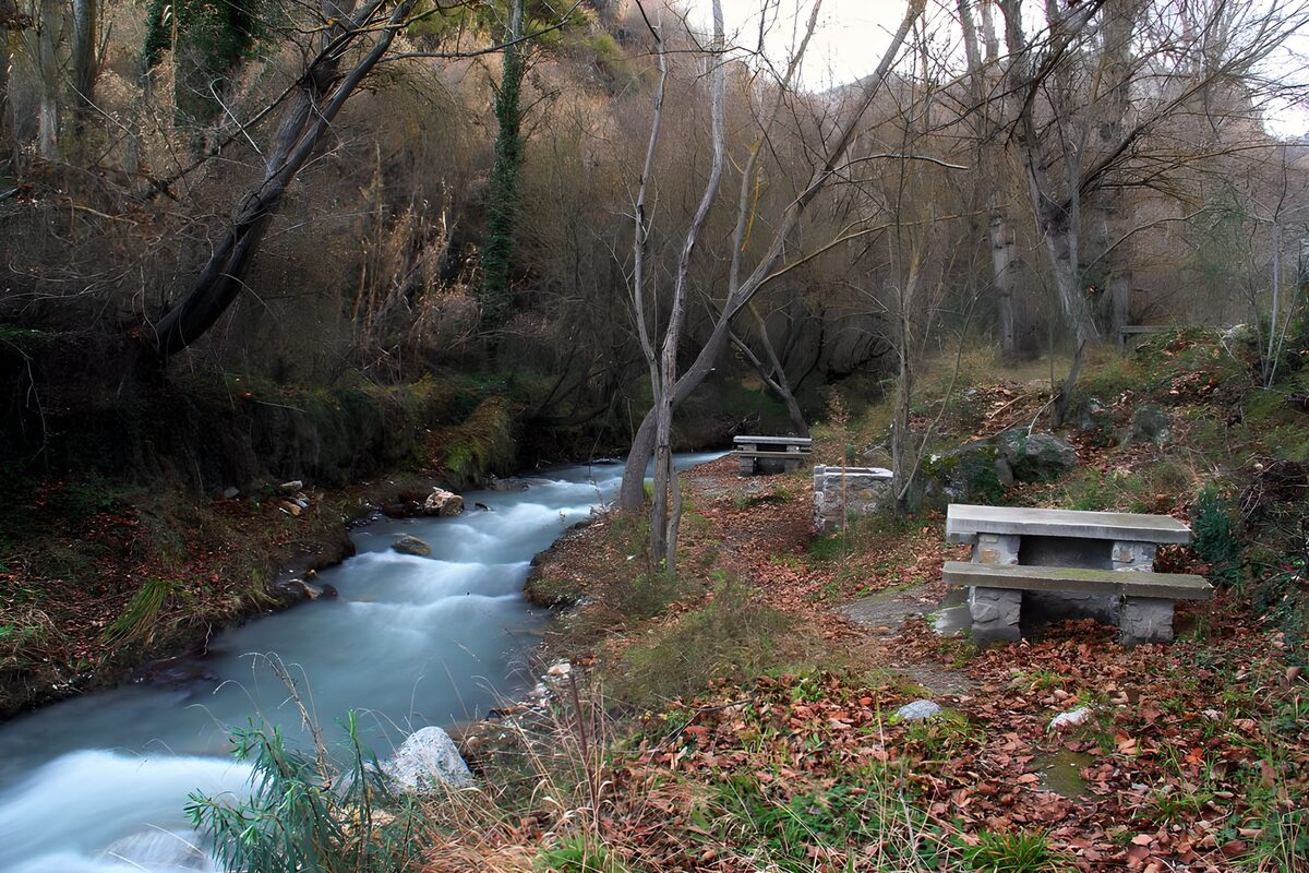 OCCOM8961285: Serene Streamside Retreat