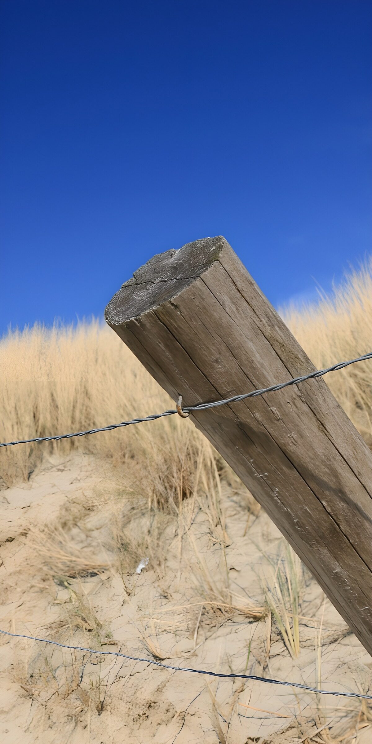 OCCOM2200493: Wooden Post Beneath Blue Sky