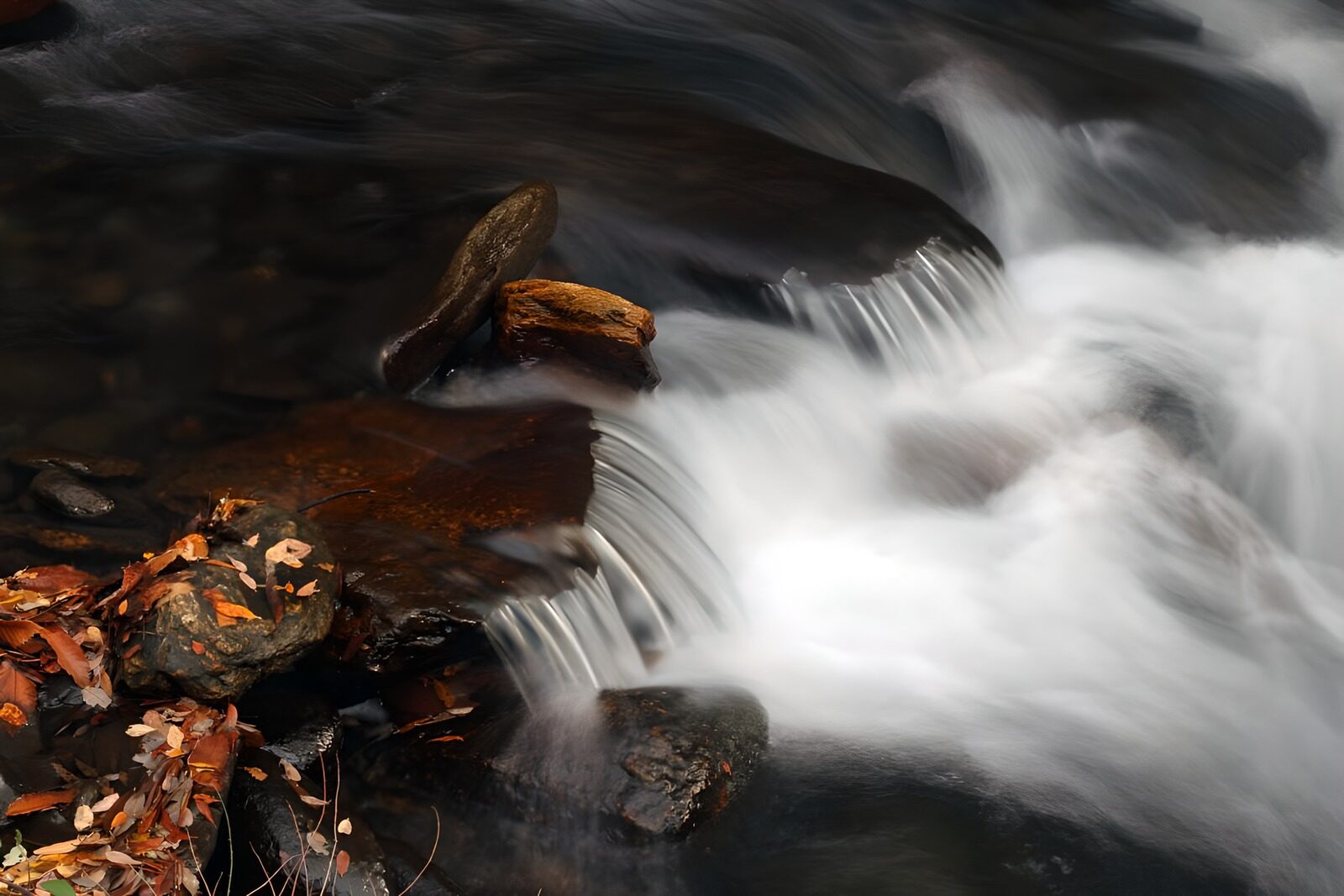 OCCOM8012510: Tranquil Flow of a Mountain Stream