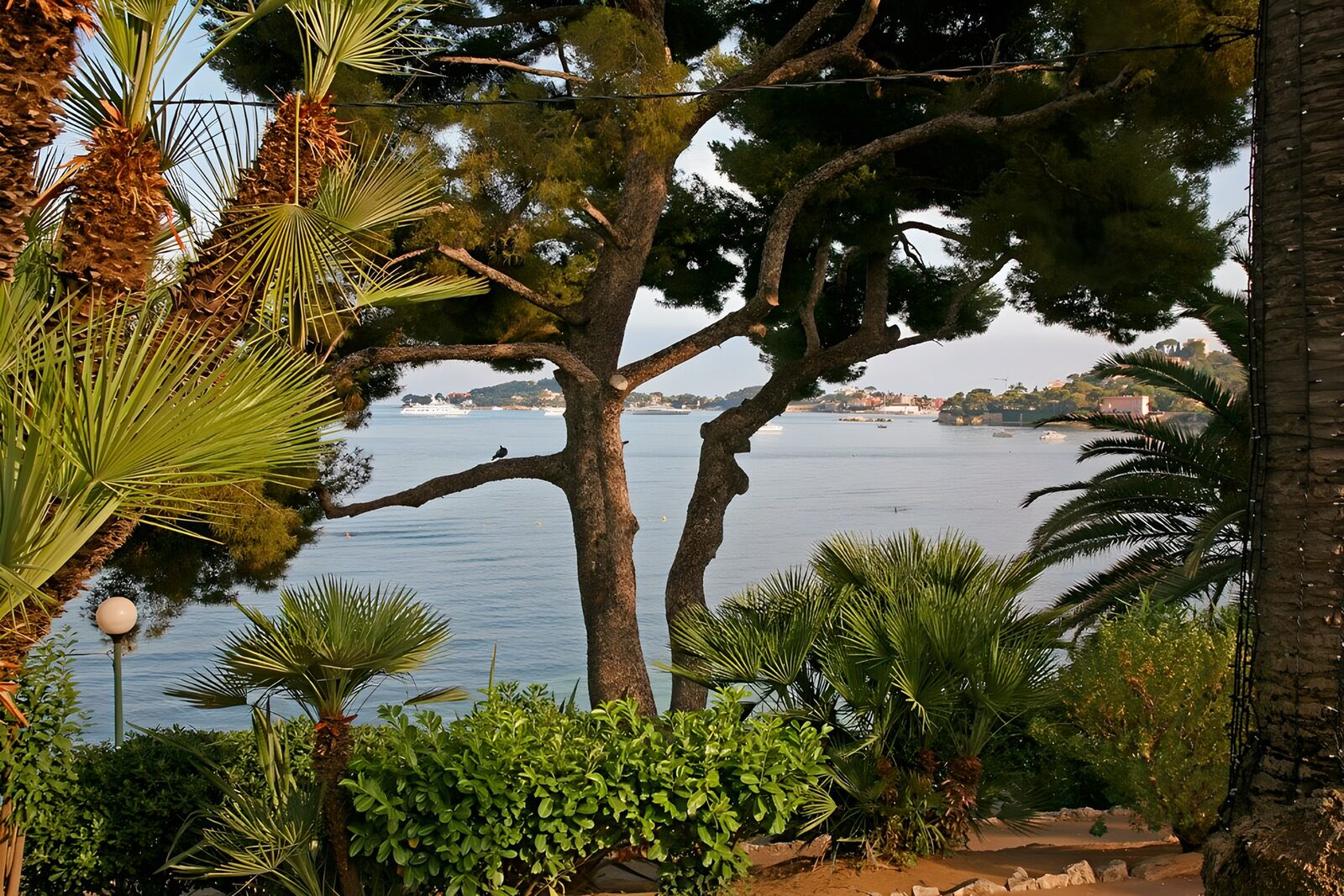 OCCOM6203773: Serene Coastal View with Lush Greens