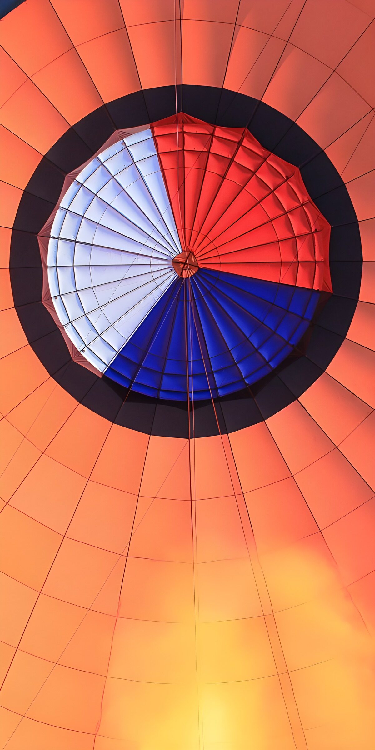 OCCOM6503414: Colorful Balloon Canopy View