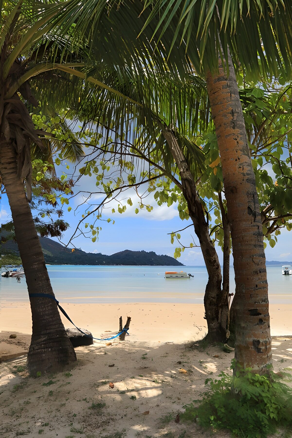 Tropical Beach Escape