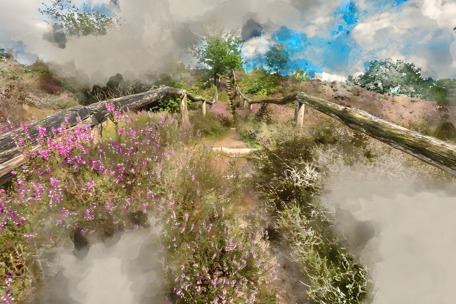 OCCOM4475177: Enchanted Pathway Through Blooming Heather