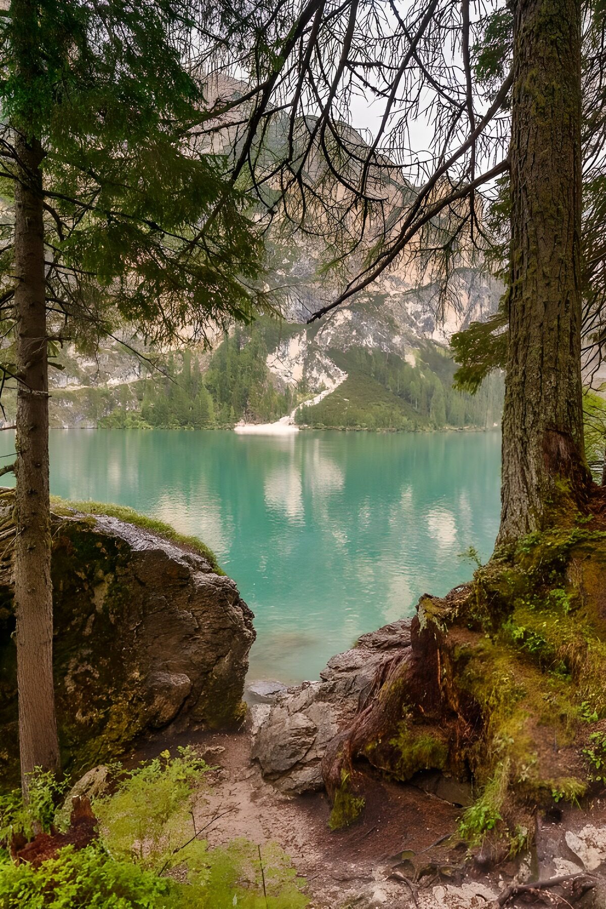 OCCOM9789187: Serene Emerald Lake View