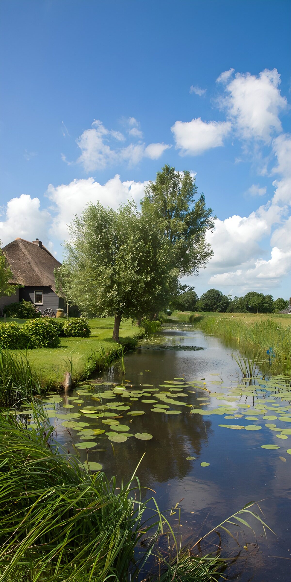 OCCOM9125718: Serene Countryside Reflections