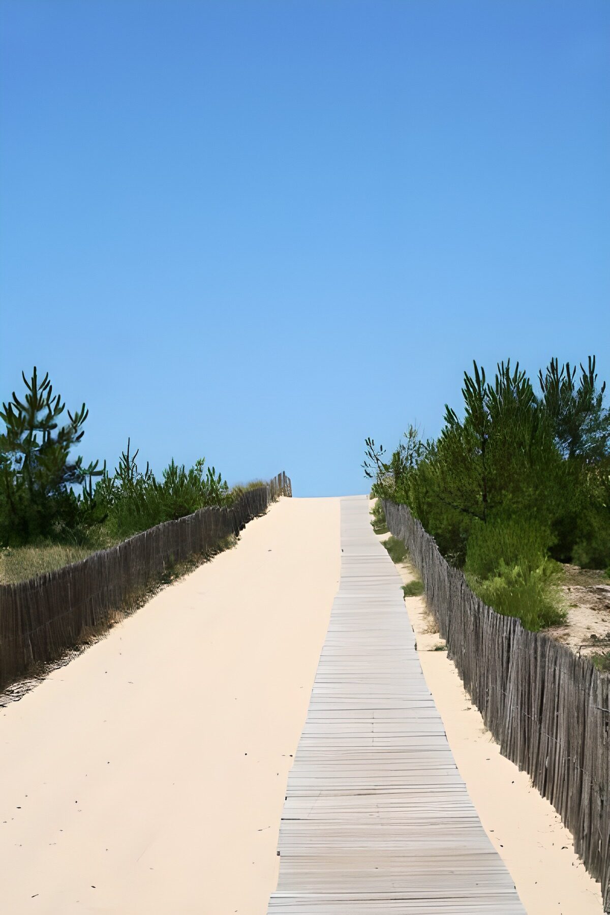 Pathway to the Beach