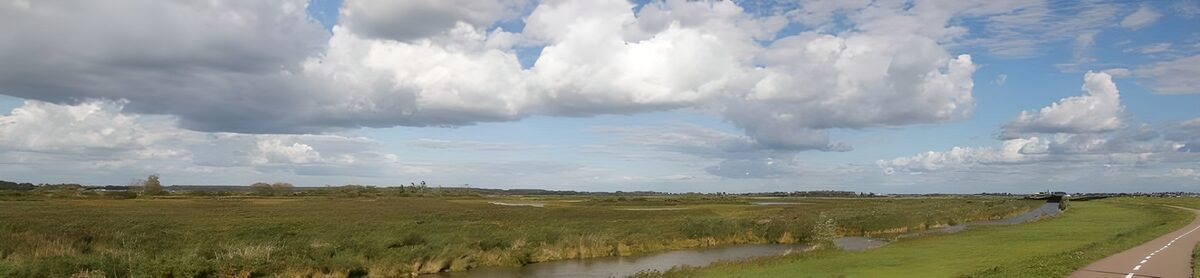 Serene Wetlands Under a Cloudy Sky