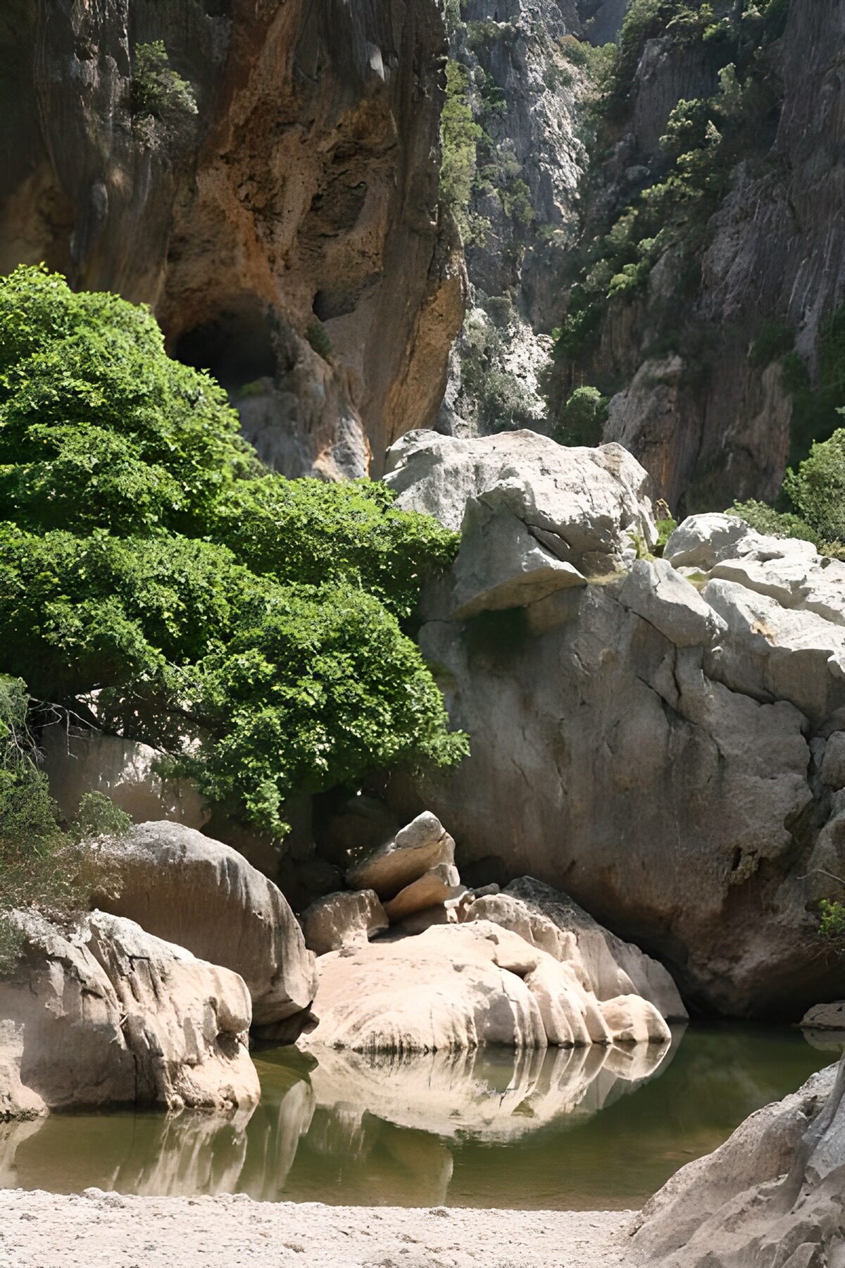 Tranquil River Gorge