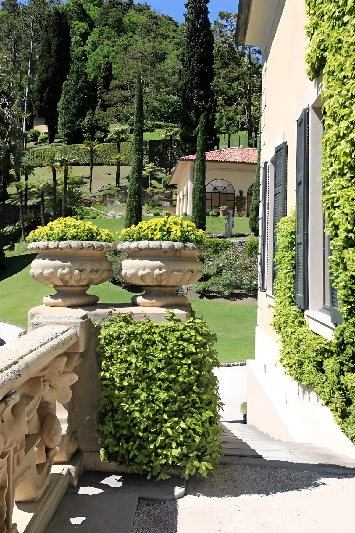 OCCOM8955633: Serene Garden Steps in Bright Sunlight