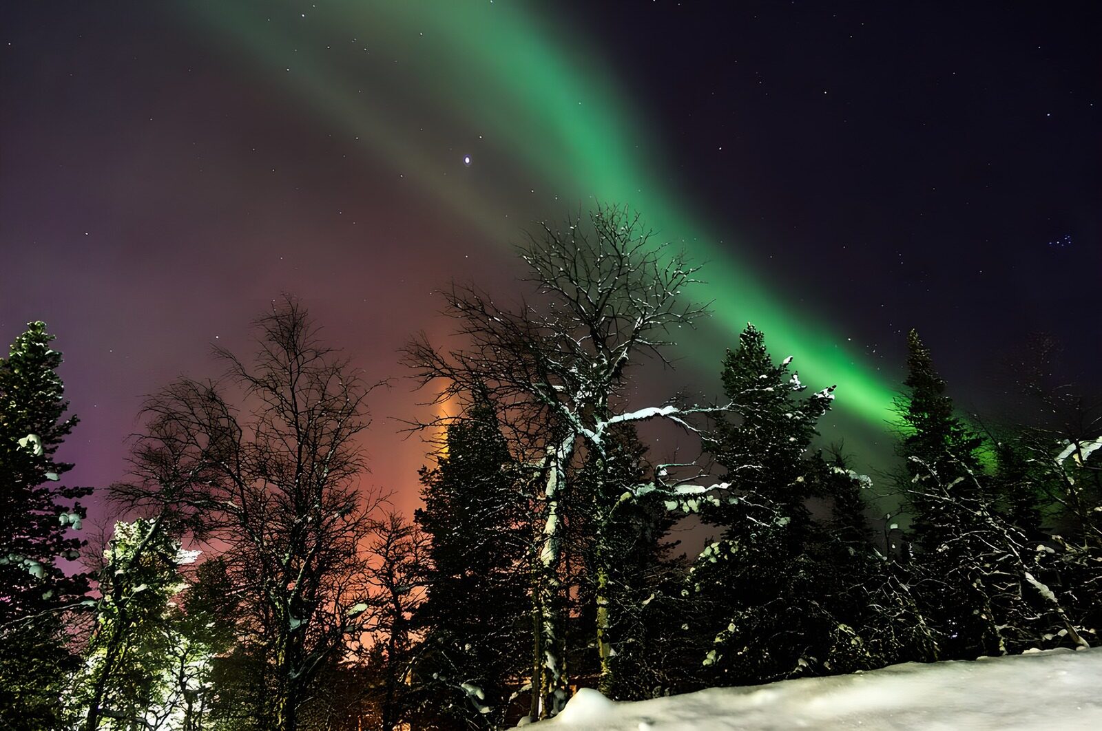 OCCOM9011179: Enchanting Northern Lights Dance