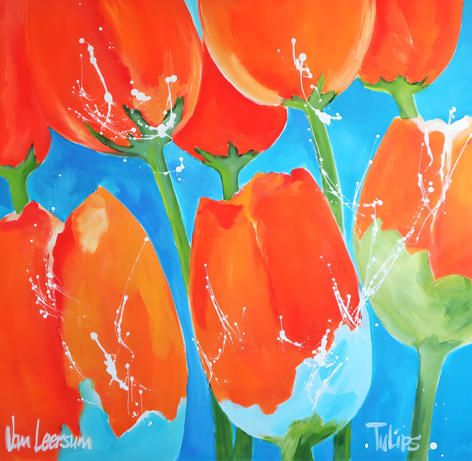 OCCOM9129733: Vibrant Tulips in Bloom