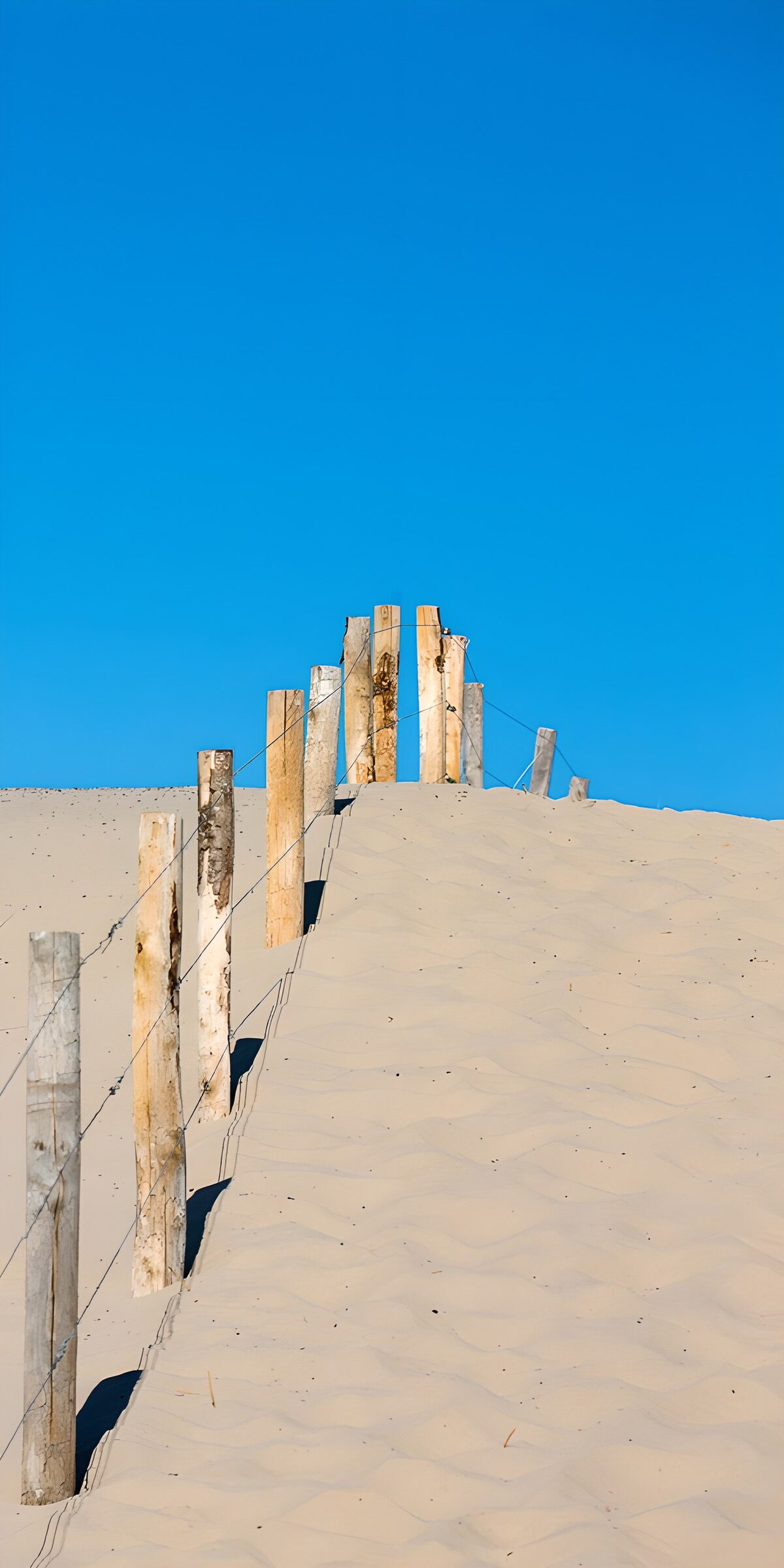 OCCOM9566903: Sand Dune with Wooden Fence